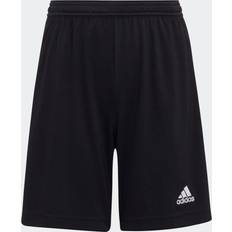 adidas Entrada Short-royal-yl