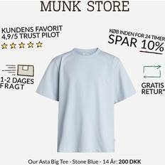 Grunt Børnetøj Grunt Our Asta Big Tee Stone År