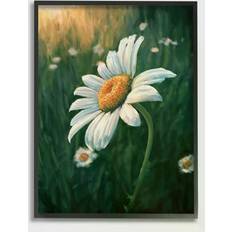 Stupell Industries Daisy Details in Field of Spring Flowers Wall Decoration