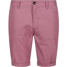 Regatta Heren Cobain Korte Broek - Blauw