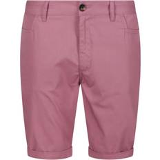 Herre - Lilla Shorts Regatta Mens Cobain Shorts (capulet)