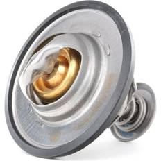 Ridex Termostat 316T0120
