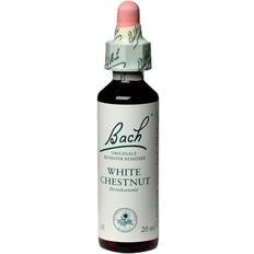 Hestekastanie Bach White Chestnut