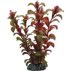 HSE Dohse Rotala 16 cm