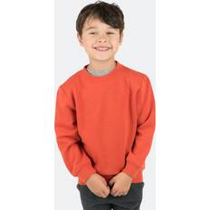 Boys Sweatshirts Leveret Toddler Unisex Pullover Sweatshirt