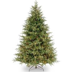 Plastic Christmas Decorations National Tree Company 6.5 ft. Frasier Grande with Dual Color LED Lights Christmas Tree 78"