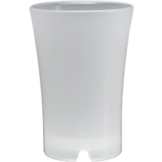 Snapseglas 2cl - Snapseglas 2cl 48stk