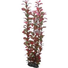 Hobby Dohse Ludwigia 34 cm