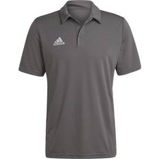 Adidas Hombre Polos Adidas ENT22 Polo Camiseta - Team Grey Four