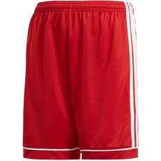 adidas Squadra Shorts - Sort/Hvid Børn
