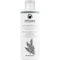 Odylique Odylique Gentle Herb Shampoo 200ml