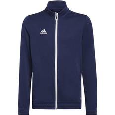 Ragazza Top Adidas Entrada Jacket - Blue (HC5035)