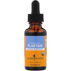 Plantain 1 fl oz (30 ml)