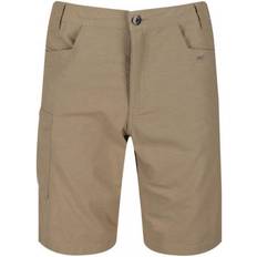 Regatta Mens Delgado Shorts (42R) (Gold Sand)