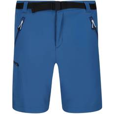 Regatta Mens Xert III Stretch Shorts (Waist)