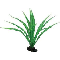 Hobby Dohse Crinum 29 cm