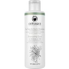 Odylique Odylique Tea Tree & Herb Shampoo 200ml
