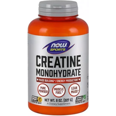 Polvo Creatina NOW Monohidrato De Creatina, Polvo Puro - 227 g