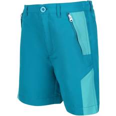 Gehen & Wandern Hosen Regatta Sorcer Mount Ii Shorts