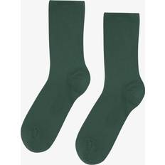 Colorful Standard Classic Organic Sock W - Sky Blue