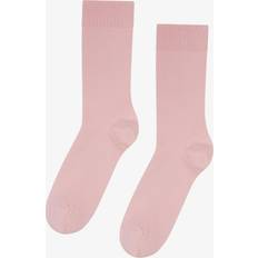 Colorful Standard Classic Organic Sock - Warm Taupe