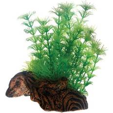 Legetøj HSE Dohse Flora Root 3 S 17 cm