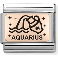 Nomination Classic Rose Aquarius Charm