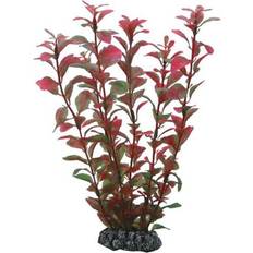 Hobby Ludwigia 25 cm