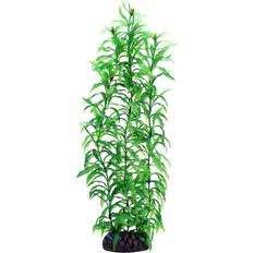 Hobby Dohse Heteranthera 34 cm