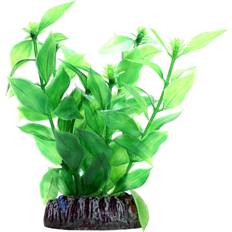 Hobby Dohse Hygrophila 13 cm