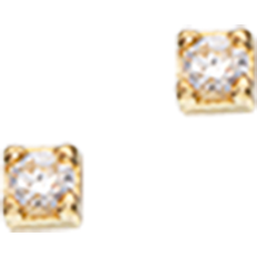 Scrouples Earrings - Gold/Transparent