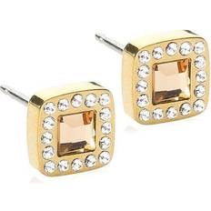 Blomdahl Brilliance Cushion Gold-coloured Titanium Crystal/Gold