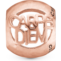 Christina Jewelry Charms Carpe Diem
