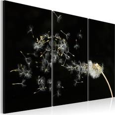 Svarta Tavlor Arkiio Dandelions- the transience 60x40 Tavla
