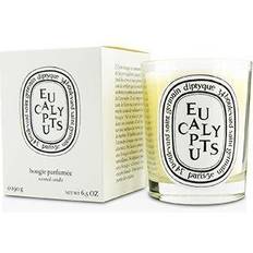 Diptyque Standard Candle Eucalyptus Duftlys