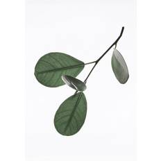 Paper Collective Floating Leaves 05 A3 Mix 8127 Plakat