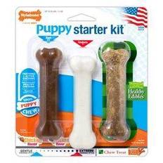 Nylabone Puppy Starter Kit