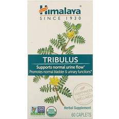 Himalaya Økologisk Tribulus 60 Tabletter 60 stk