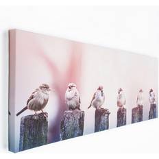 Rosa Bilder for the Home Birds Canvas Wall 100x40cm Bild