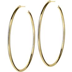 Edblad hoops large Edblad Hoops Earrings Large - Gold