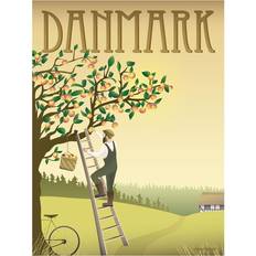 Plakat danmark 50x70 Vissevasse DANMARK Æbletræet 50x70 cm Plakat