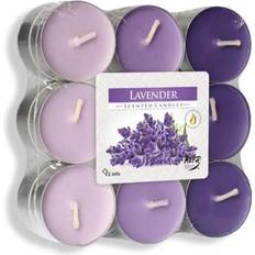 Lavendel 18 Stk