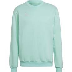 Adidas Entrada 22 Sweatshirt - Clear Mint (HC5042)