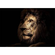 Beige - Glas Billeder Furniturebox Lion Billede 120x80cm