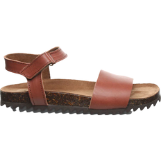 Bearpaw Alma - Brown