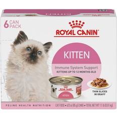 Royal canin cat food Royal Canin Kitten Thin Slices in Gravy Canned 24x85g