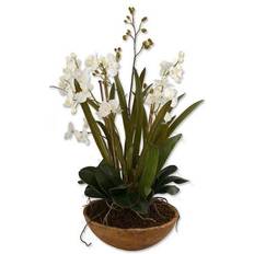 Plastic Garden Ornaments Uttermost Moth Orchid Planter