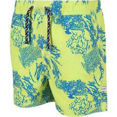 Regatta Skander II Swim Shorts BriKiwiCoral