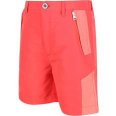 Regatta Kid's Sorcer II Mountain Hiking Shorts - Orange