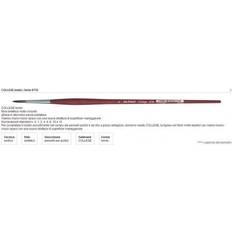 College 8730 Round Brush 2